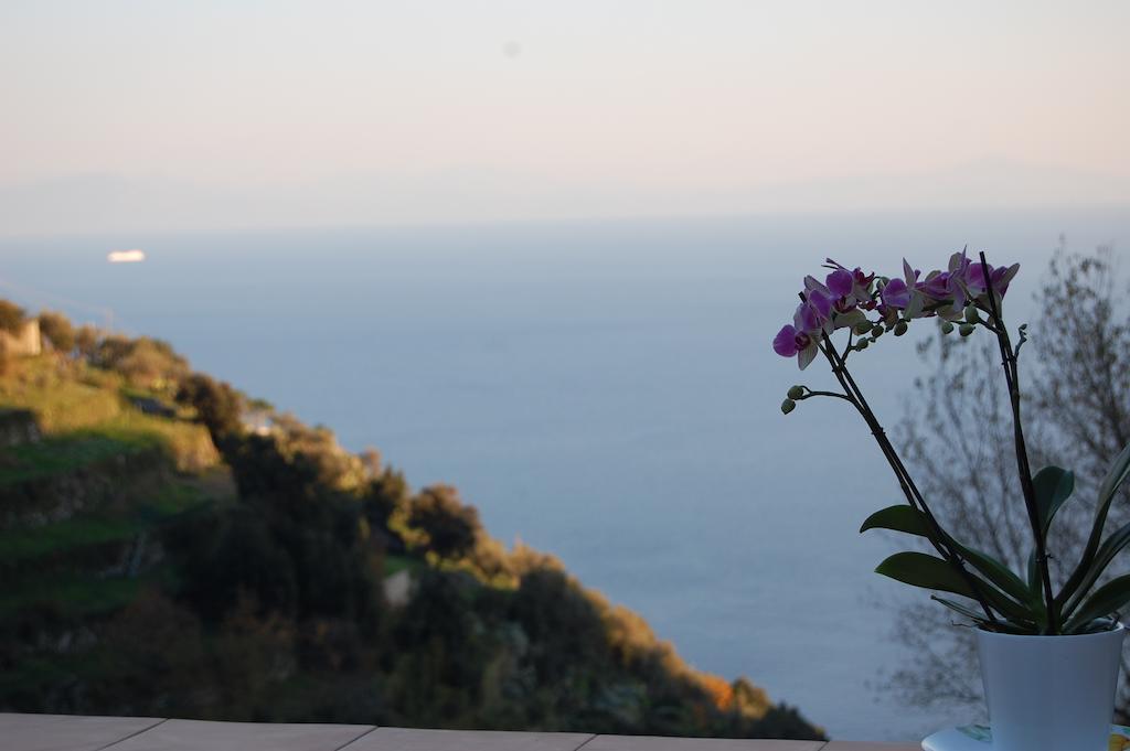 Tenuta Mamma Carmela Amalfi Exterior photo